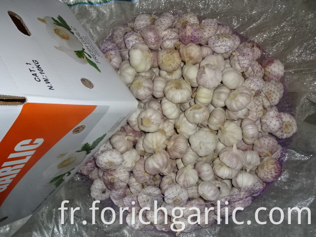 New Crop Garlic 5 0cm